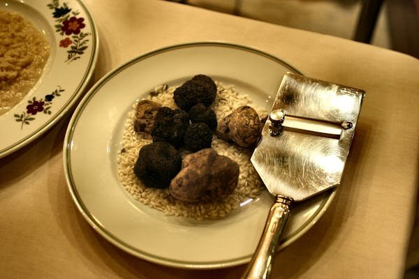 Les merveilles de la truffe blanche d'Alba : un trésor culinaire